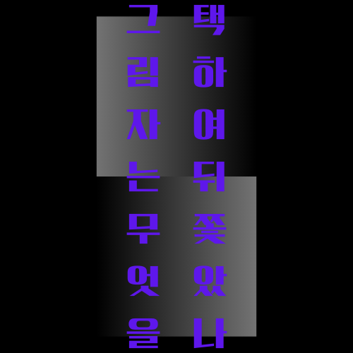 파일:그림자 타이틀.png