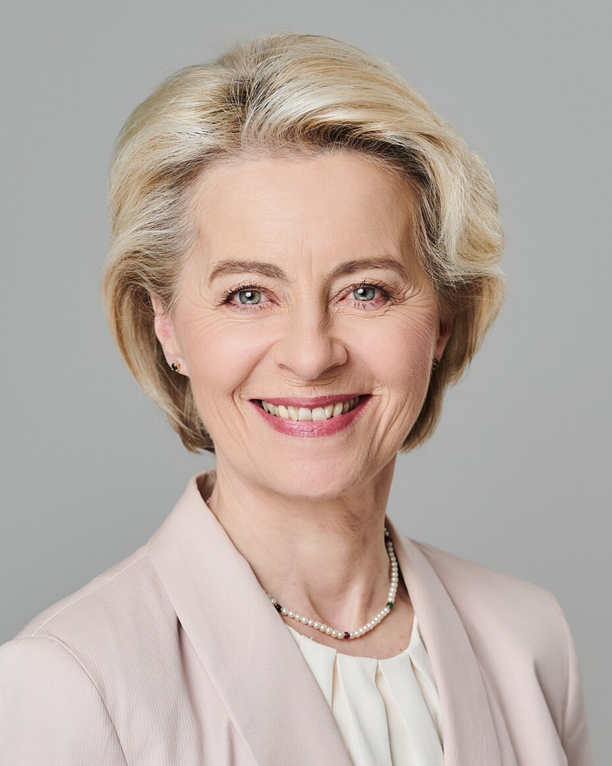 width=100%