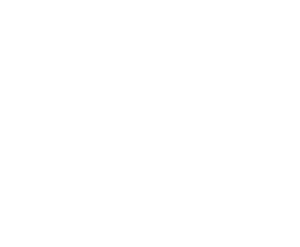 황해남도 로고 반전.png