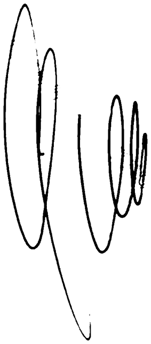 히 버르호프스타드 서명.png