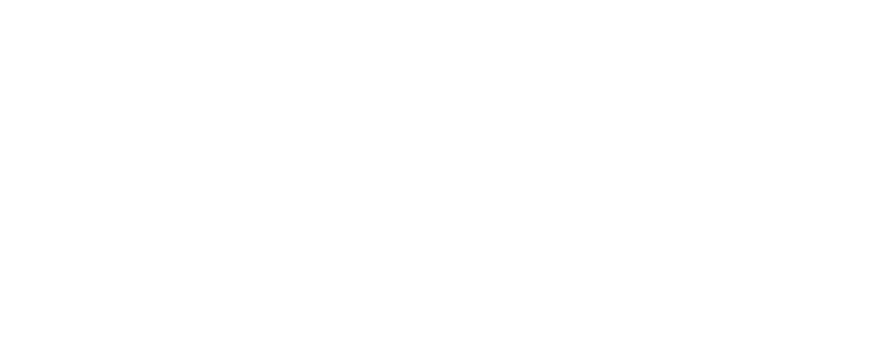 파일:공정당 화이트.png