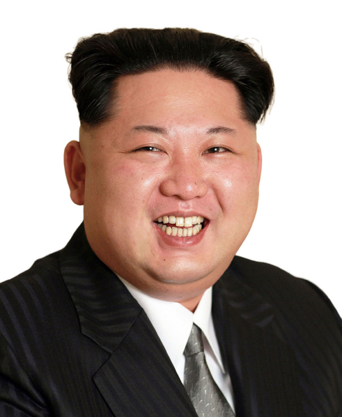 파일:김정은 프로필.png