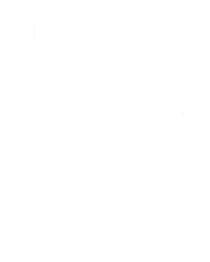 동튀르키스탄 인민당 백.png