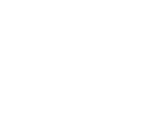 소말리아 총리 문장.png