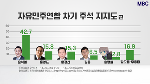 자민련 주석 지지율.png