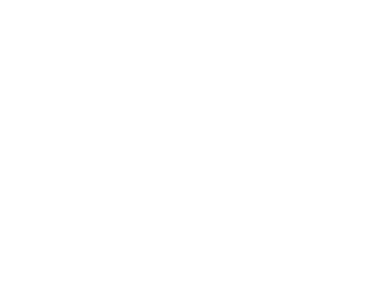 파일:신민당화이트로고.png