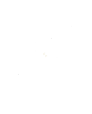 Reichsadler white.png
