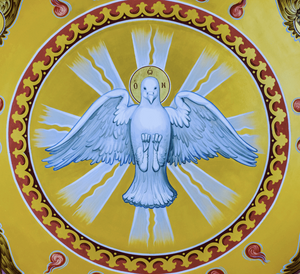 성령 하얀 비둘기 이콘.png