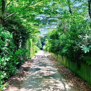 프론트 메모리 feat. ACA네(계속 한밤중이면 좋을 텐데.) 앨범 커버.jpg