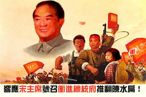 총통부를 폭격하라, 나의 대자보.webp