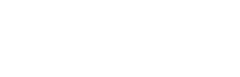 파일:녹색좌파연합 반전.png