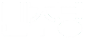 민주당 (1991년).webp