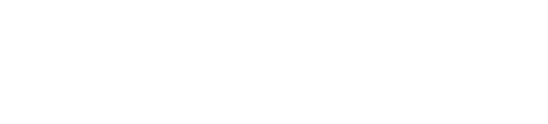 파일:대한애국당 로고 반전.png