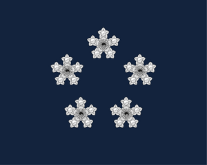 대한국 내각총리대신기 (충신불사이군).png