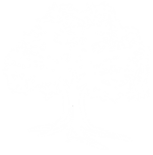 조선민주당 흰색 아이콘.png