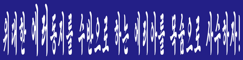 파일:제5회 이브위키 관리 솔피 가로배너(1600x400).png