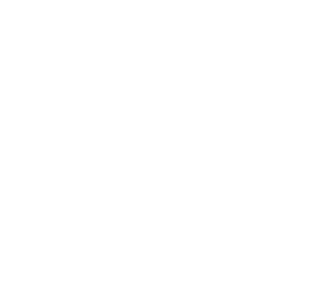 아랍 사회당 백.png