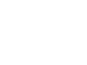 Project 81 일본사회당.png