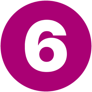 플로라 평양6호선 아이콘.png