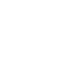 유엔 문장 백.png