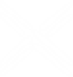 평양광역시 로고 반전.png