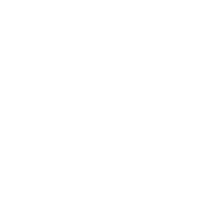 소말리아 흰별.png