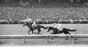 알프스 보이 이화상 (한나라).jpg