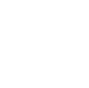 전라남도 휘장(~2000) 흰색 (한나라).png