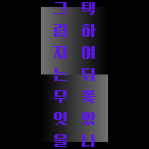 그림자 타이틀.png