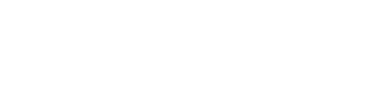 파일:친박연대 흰색 로고타입.png