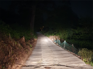 일봉읍내 야경.png