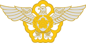 항공방위대 로고 (충신불사이군).png