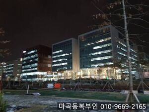 마곡동야경.jpg