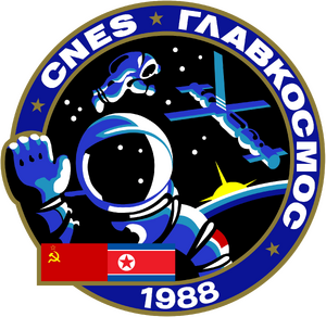 소유즈 TM-7 미션 패치.png