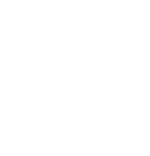 민주공화당 흰색 아이콘.png