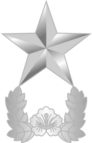 준장 계급장.png