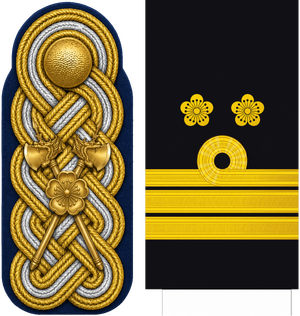 해군 대원수 계급장 (플레이백).png