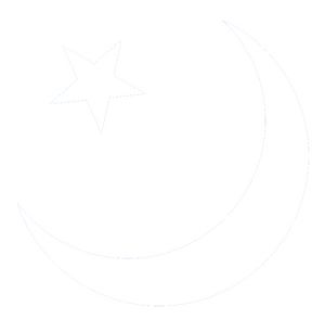 동투르키스탄 문장 백.png