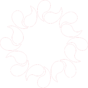 평양광역시 휘장 반전.png