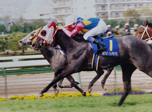 월넛 스카이 (한나라).png