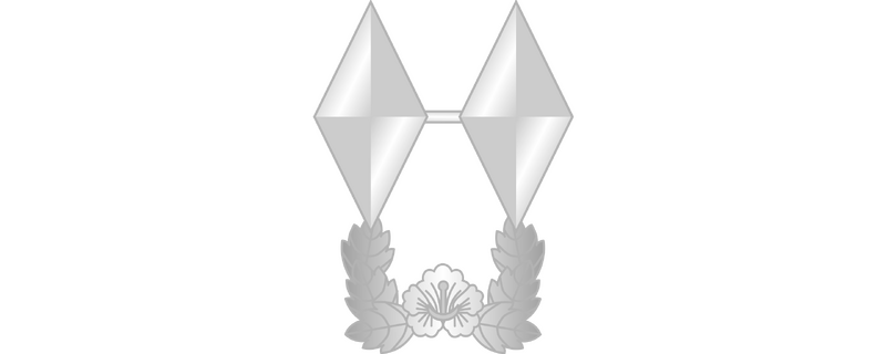 파일:대한민국 국군 부위 계급장 (개화).png