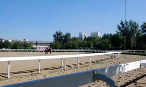 총통부 경마장 전경.png