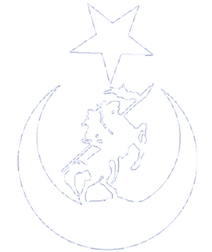 동튀르키스탄 국민각성운동 백.png