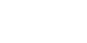 임시N사회주의투쟁당 화이트.png