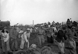 3개년 계획 2.jpg