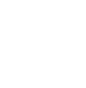 티베트 사회당 백.png