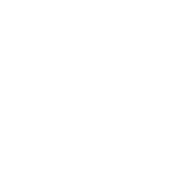 파일:티베트 사회당 백.png