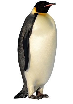 헤르메스 싹뚝.png