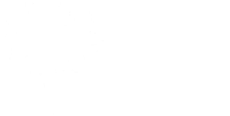 파일:남부 민주당 로고 타입 반전.png