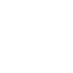 연화광역시 휘장 투명 백색.png